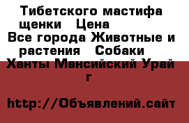  Тибетского мастифа щенки › Цена ­ 10 000 - Все города Животные и растения » Собаки   . Ханты-Мансийский,Урай г.